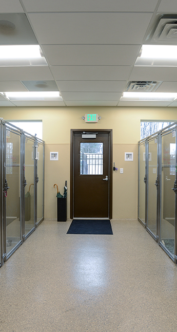 Dog boarding area at our animal hospital