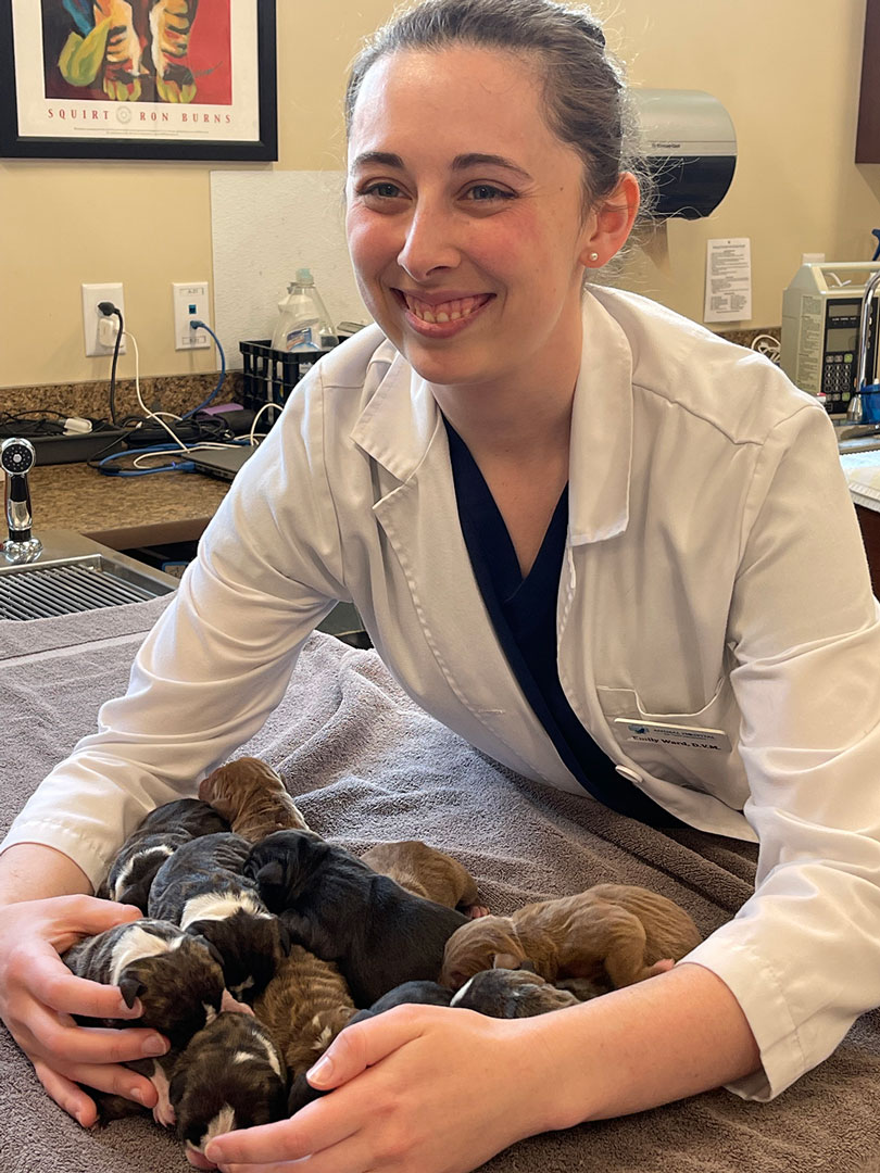 Doctor with puppies